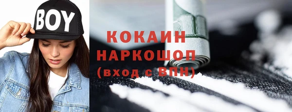 ECSTASY Горняк