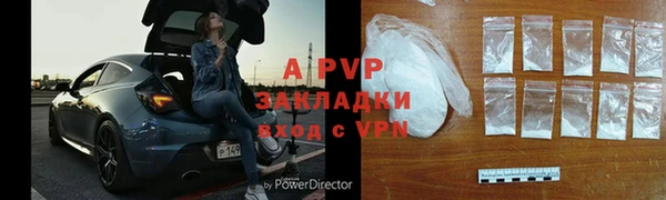 ECSTASY Горняк