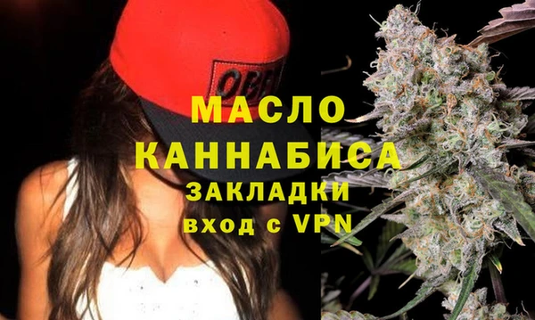 ECSTASY Горняк