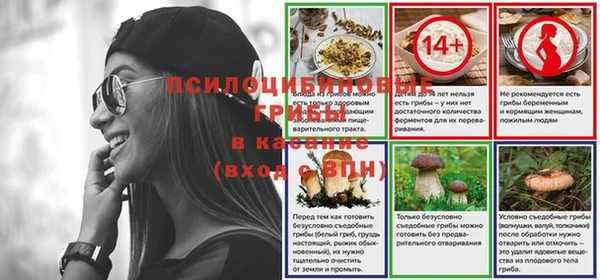 молекула духа Шарыпово