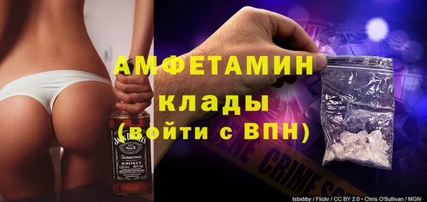ECSTASY Горняк