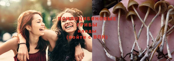 ECSTASY Горняк