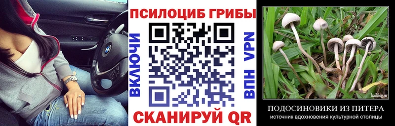 Псилоцибиновые грибы MAGIC MUSHROOMS  Меленки 